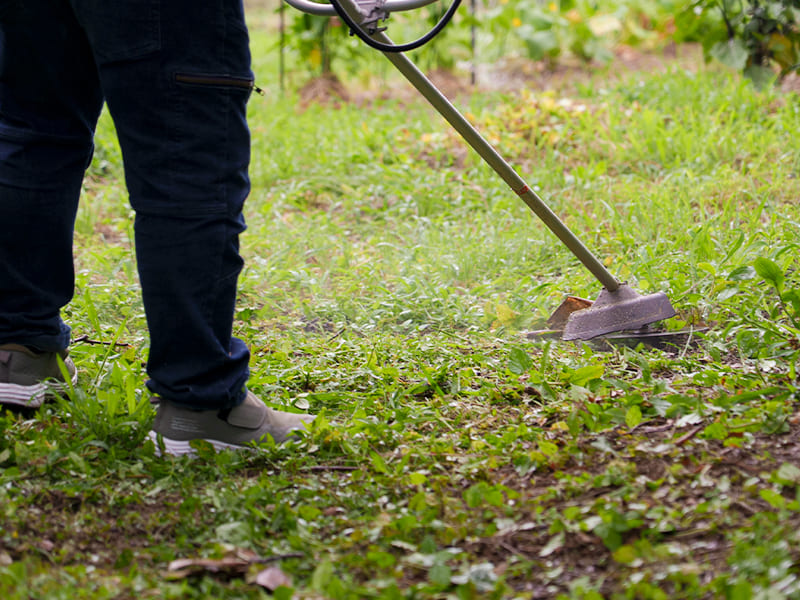 草刈りで住まいまわりをすっきり